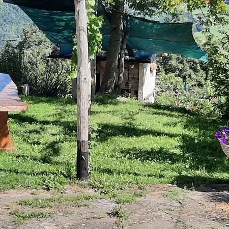 Casa Tonacchiolo Bed and Breakfast Acquaria Εξωτερικό φωτογραφία